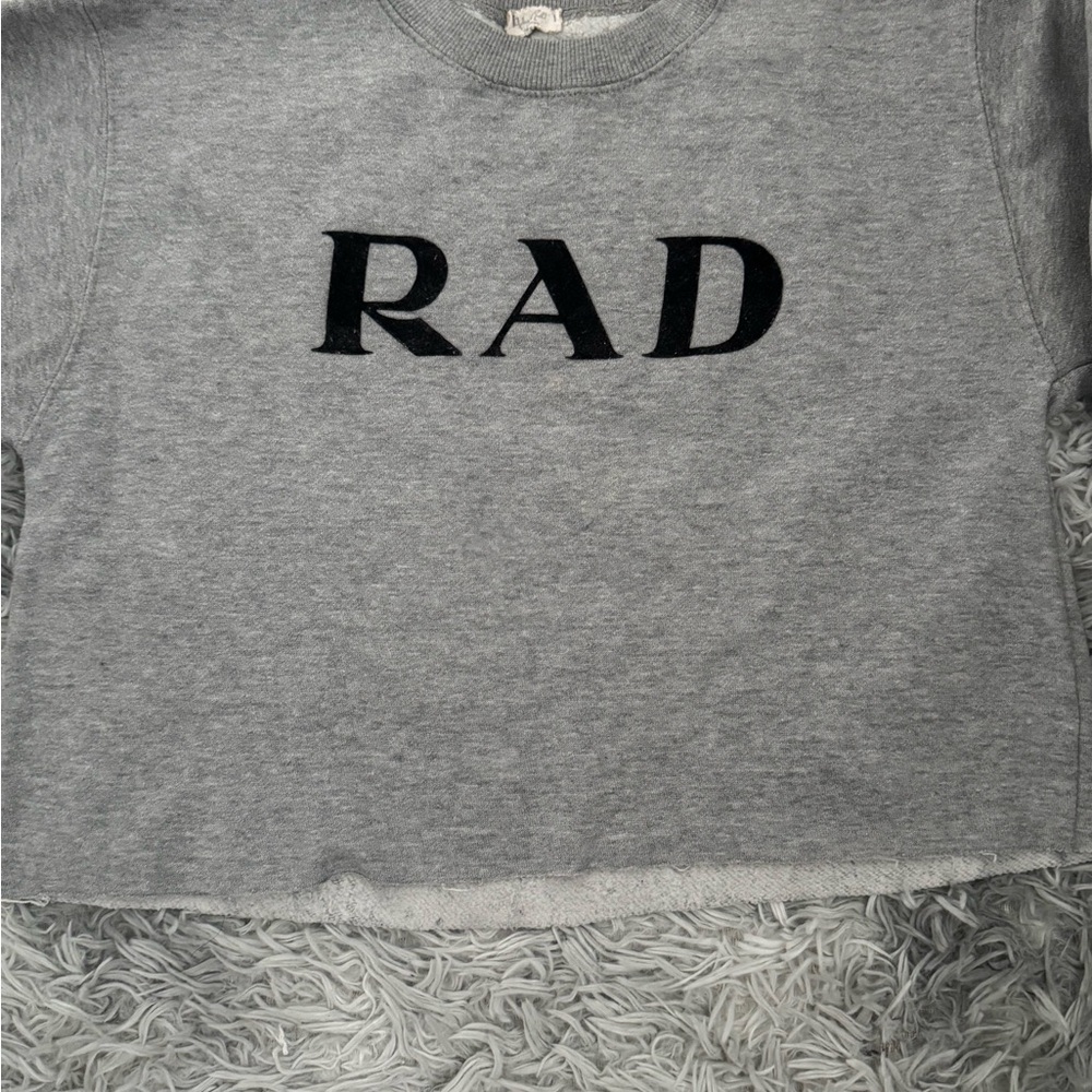 Gray RAD Cropped Sweatshirt (S) - Picture 2 of 5